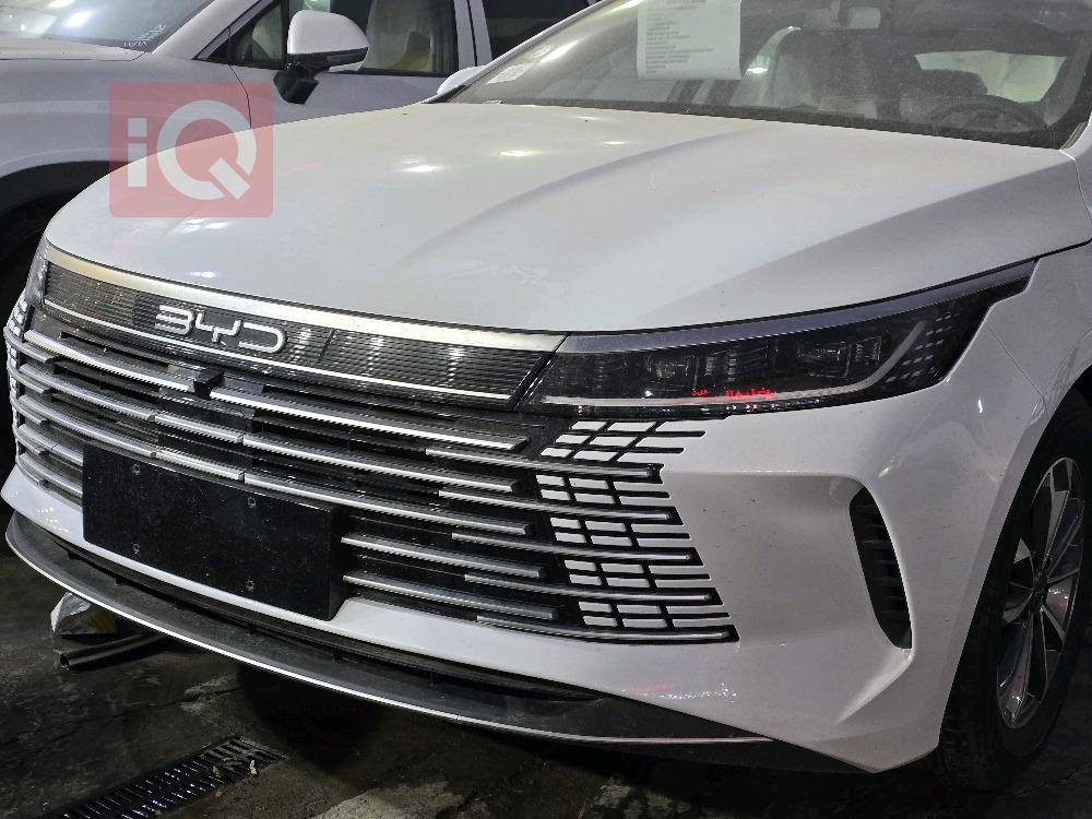 بی وای دی دیسترۆیەر 05